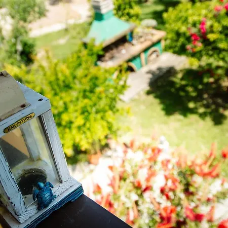 아파트 Dionysia's